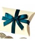 Teal Favour Pillow with Bow 